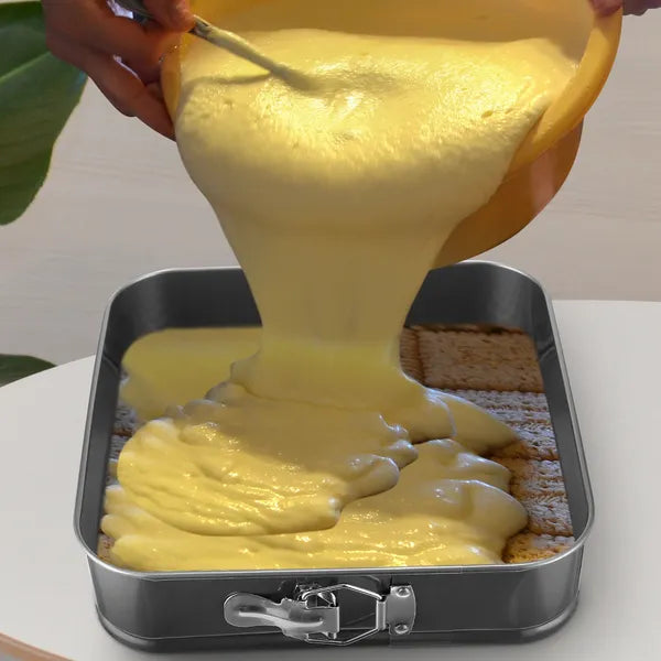 Springform Cake Pan